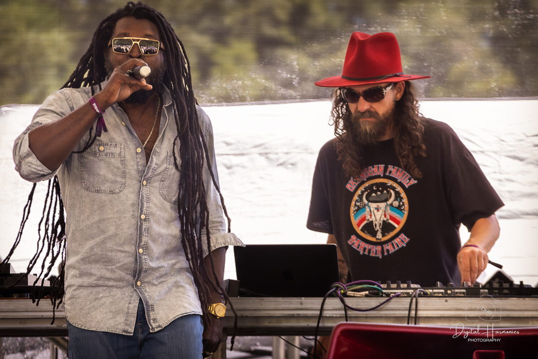 Jubba White x Blue Jay