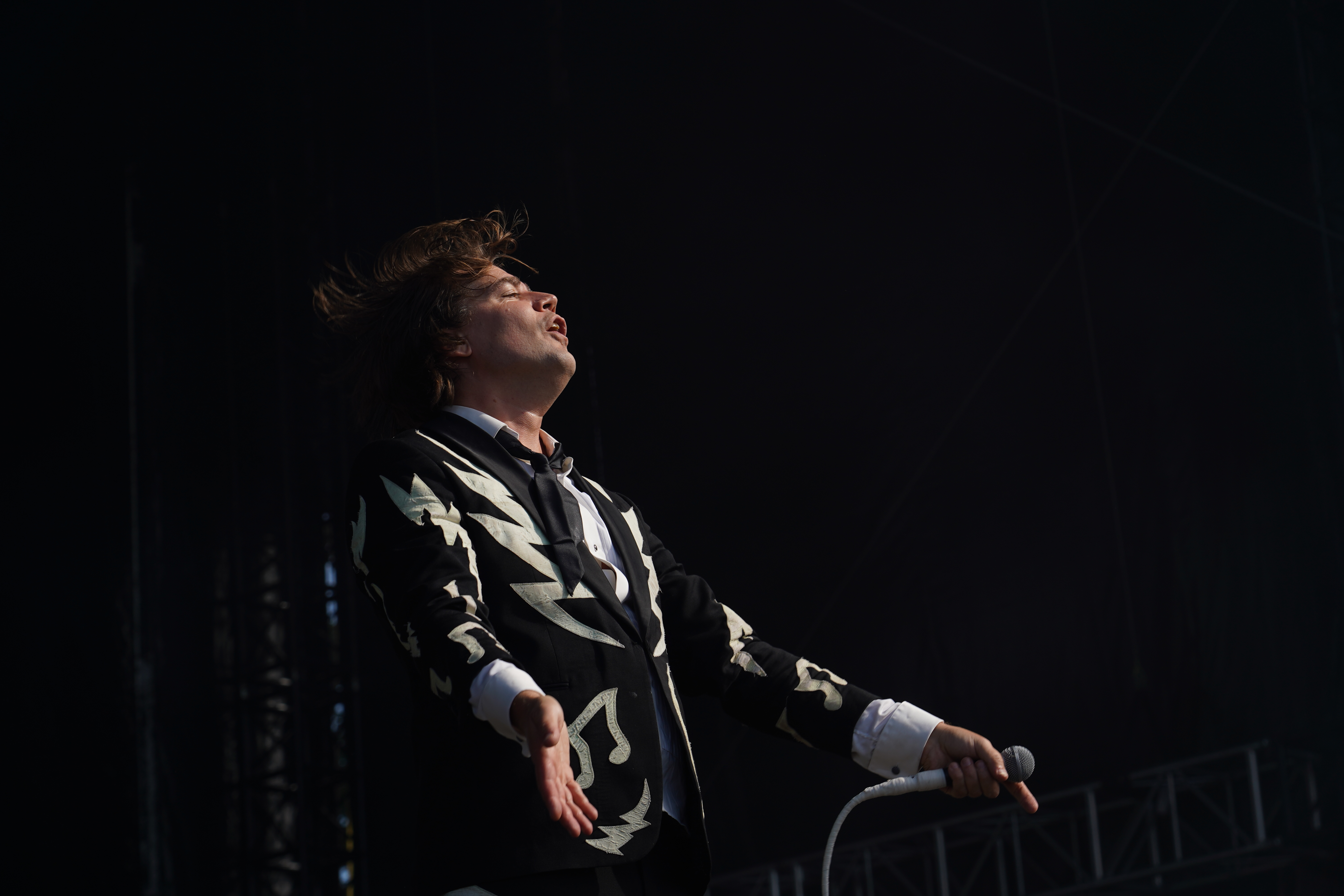 The Hives
