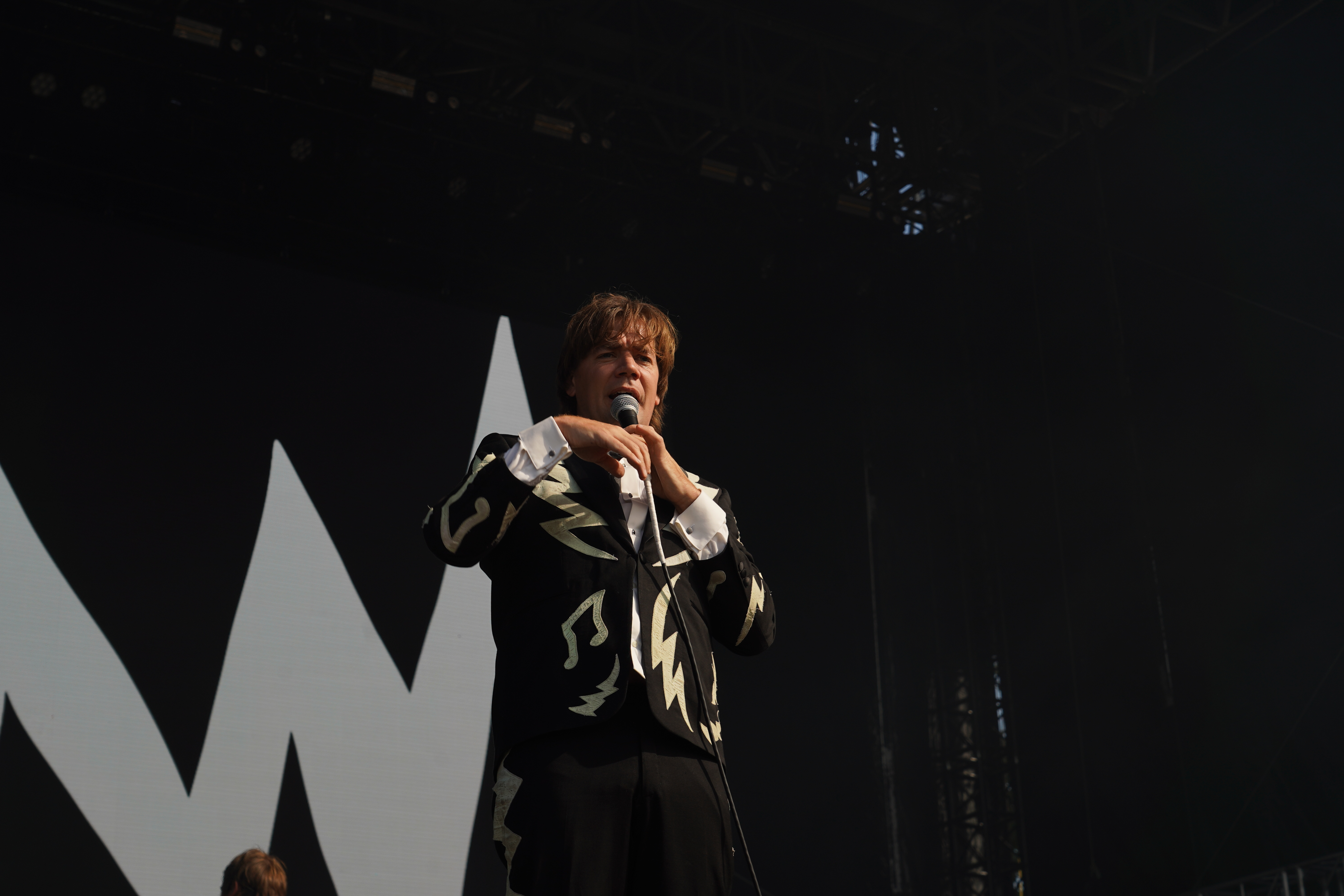 The Hives
