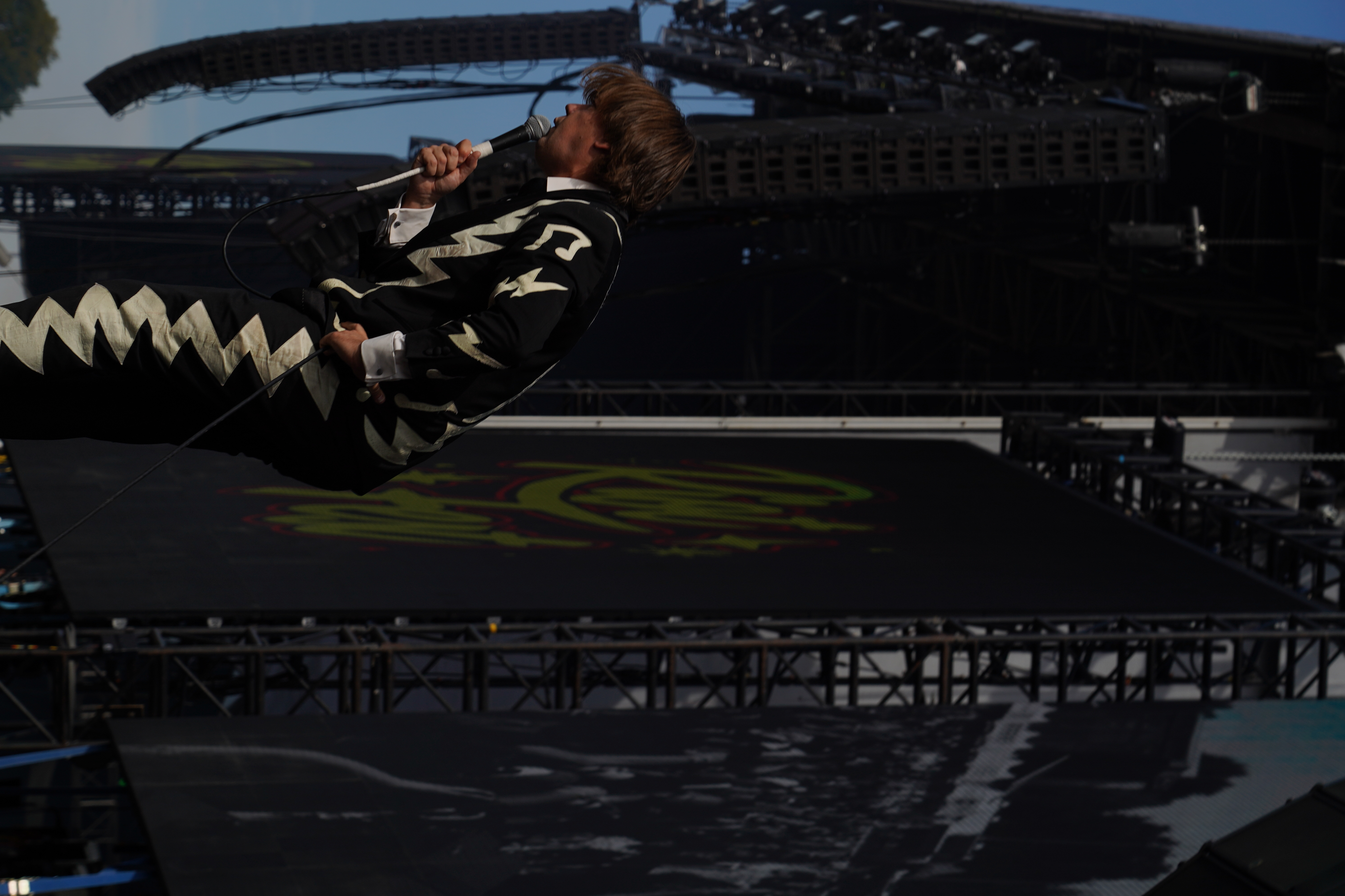 The Hives
