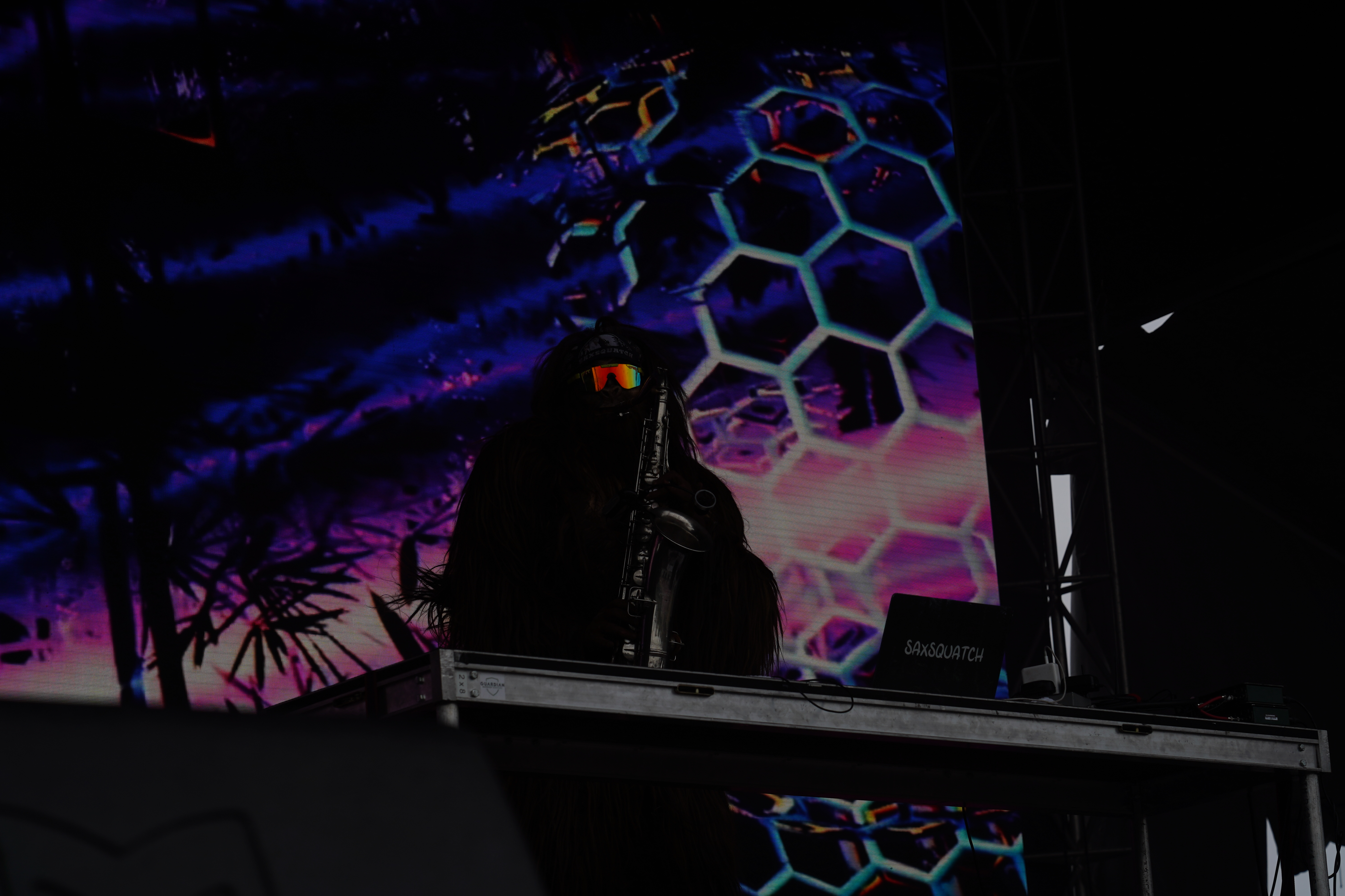 Saxsquatch — Riot Fest 2024